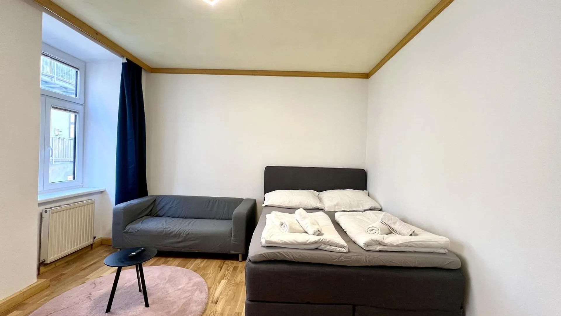Big Space Apartment Vienna Austria