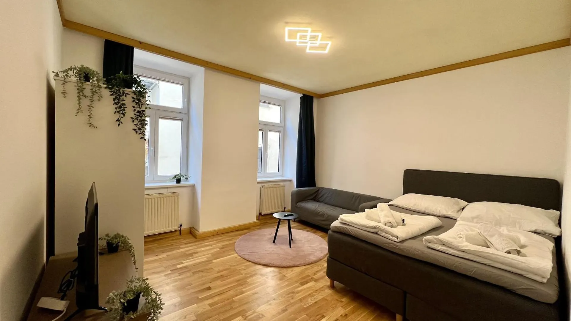 Big Space Apartment Vienna Austria